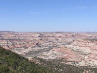 Olympus Camera 005
