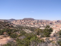 Olympus Camera 007