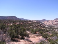 Olympus Camera 008
