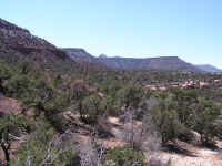 Olympus Camera 009