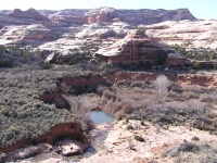 Olympus Camera 015