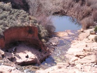 Olympus Camera 016
