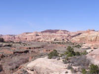Olympus Camera 018