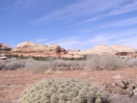 Olympus Camera 025