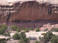 Olympus Camera 027