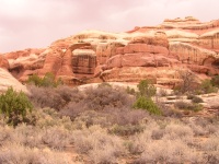 Olympus Camera 042