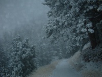 Wintery solo hike near home (just south of Boulder, CO).