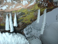 Freezing fog on icicles.
