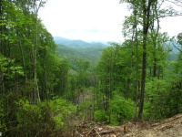 Hot Springs 2009 - 13.jpg
