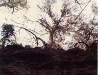 Steve toping out on a climb at Clifton Gorge, Ohio.  Photo from Roger Blum