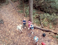 Roland salutes as Steve Belays.  Is that Marie Schulte tied to the tree?  Note the old stiff coils of goldline next to the log.  Photo from Roger Blum