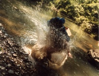 Coming up a little short on the leap...  Photo from Roger Blum