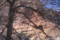 007: Contrasting wood and stone.