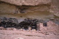 008:  Indian ruins dating from the era of the Anasazi occupation, 950 - 1250 AD.  These are the Big Ruin cliff dwellings.  