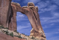 032:  Most hikers stop here for this wonderful view of Angel Arch, well below the formation.  The UCMC, however....