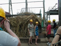 Bob. Bill, Jeannie, Chuck, and our guide where harvested sugar cane is fed  into the mill.  2/27/03