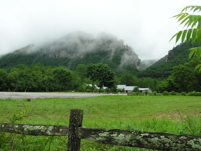 Foggy day at Seneca Rocks.