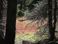 Olympus Camera 008.jpg