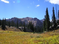 Olympus Camera 017.jpg