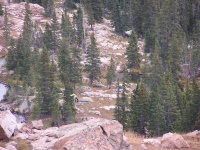 Olympus Camera 030.jpg