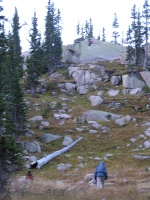 Olympus Camera 035.jpg