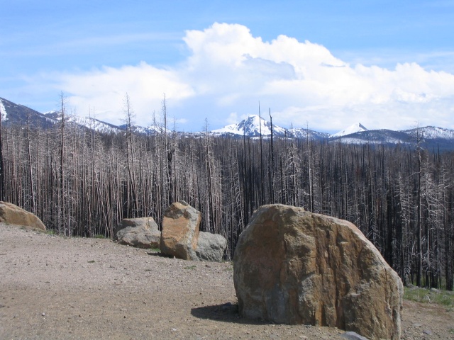 Yellowstone National Park