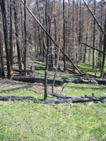 Fire damage
