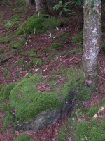 DSCN3240.JPG