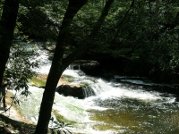 DSCN3305.JPG