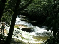 DSCN3306.JPG