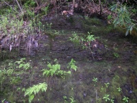 DSCN3309.JPG