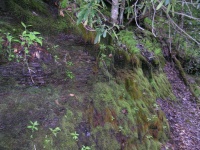 DSCN3310.JPG
