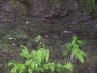 DSCN3312.JPG