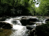 DSCN3319.JPG