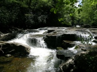 DSCN3320.JPG