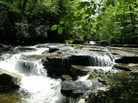 DSCN3321.JPG