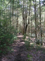 DSCN3349.JPG