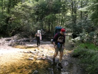 DSCN3351.JPG