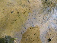 DSCN3355.JPG