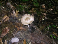 DSCN0656.JPG