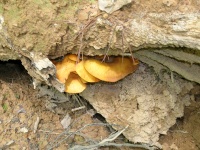 DSCN0660.JPG