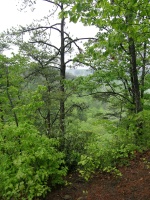 DSCN0713.JPG