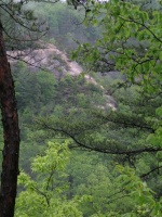 DSCN0714.JPG
