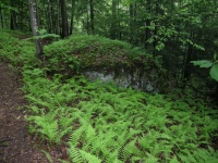 DSCN0757.JPG