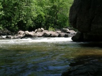 DSCN0897.JPG