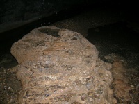 DSCN3423.JPG
