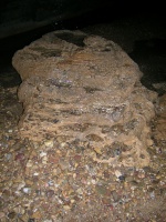 DSCN3424.JPG