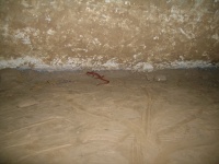 DSCN3433.JPG