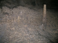 DSCN3482.JPG