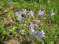 DSCN5876.JPG